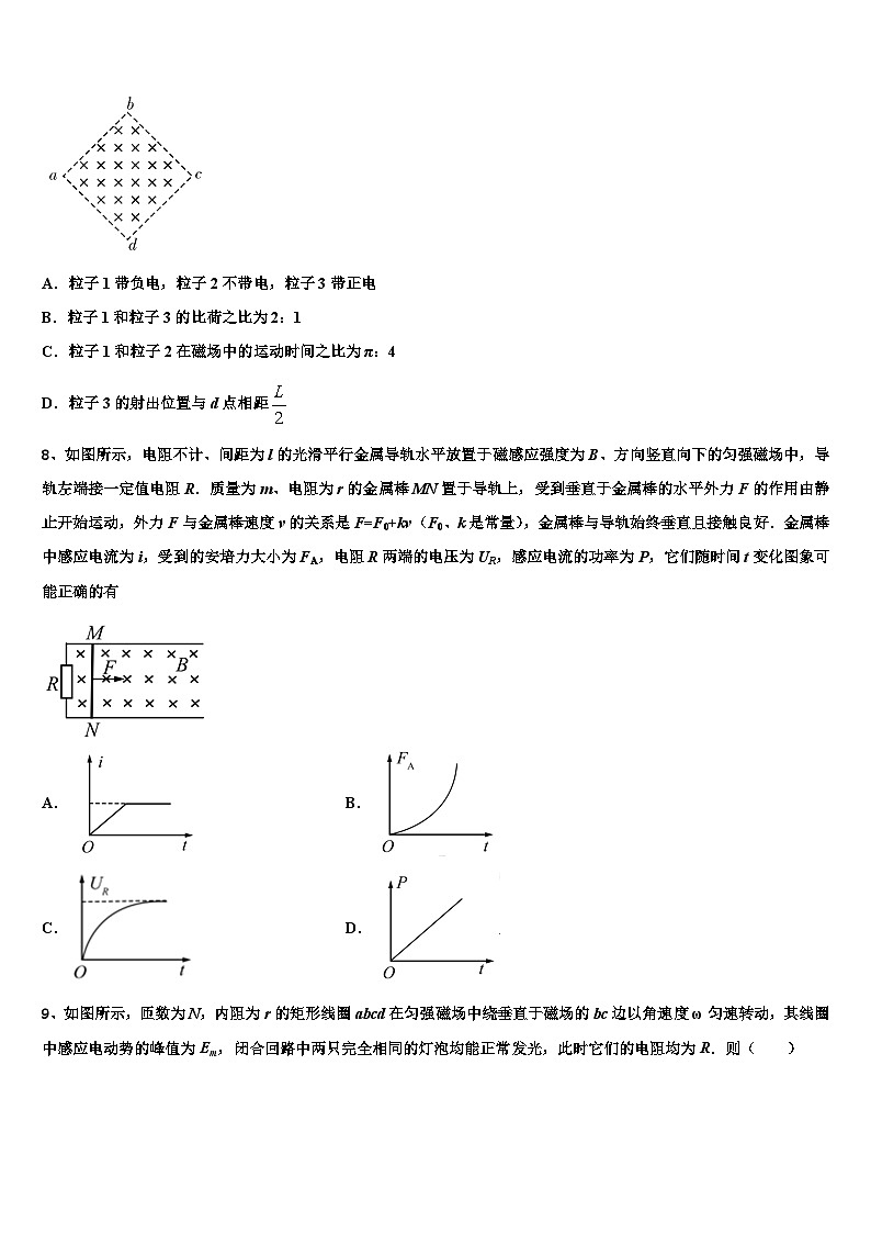 2026届湖北省武汉市新洲一中阳逻校区高考压轴卷物理试卷含解析第3页