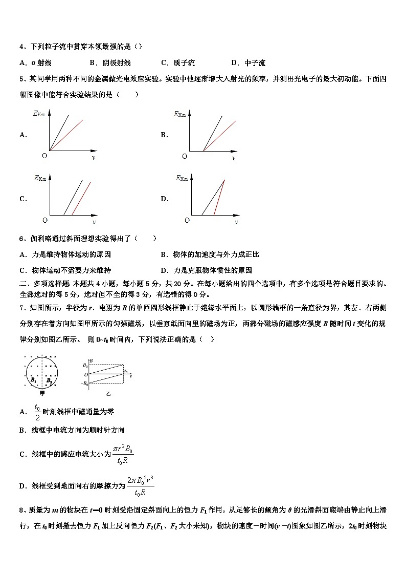 2026届湖北省咸宁市五校高考仿真卷物理试卷含解析第2页