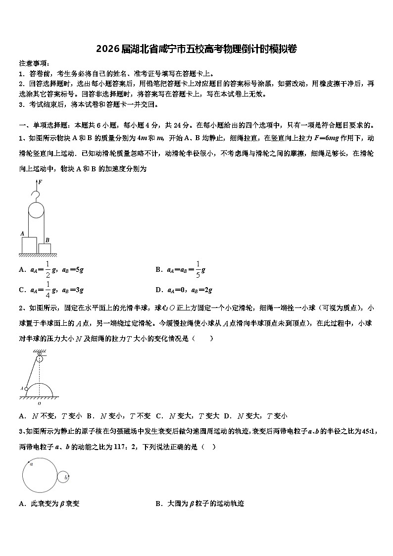 2026届湖北省咸宁市五校高考物理倒计时模拟卷含解析第1页