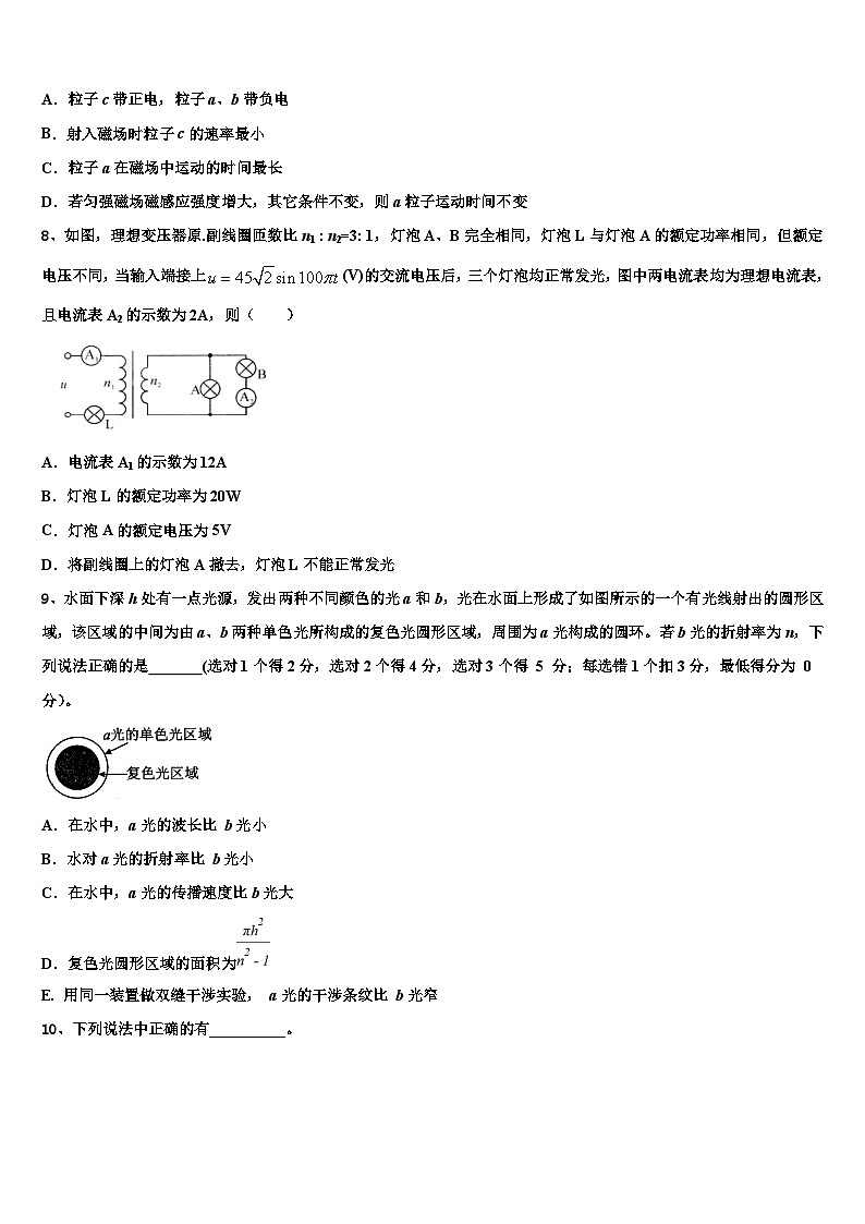 2026届湖北省咸宁市五校高考物理倒计时模拟卷含解析第3页