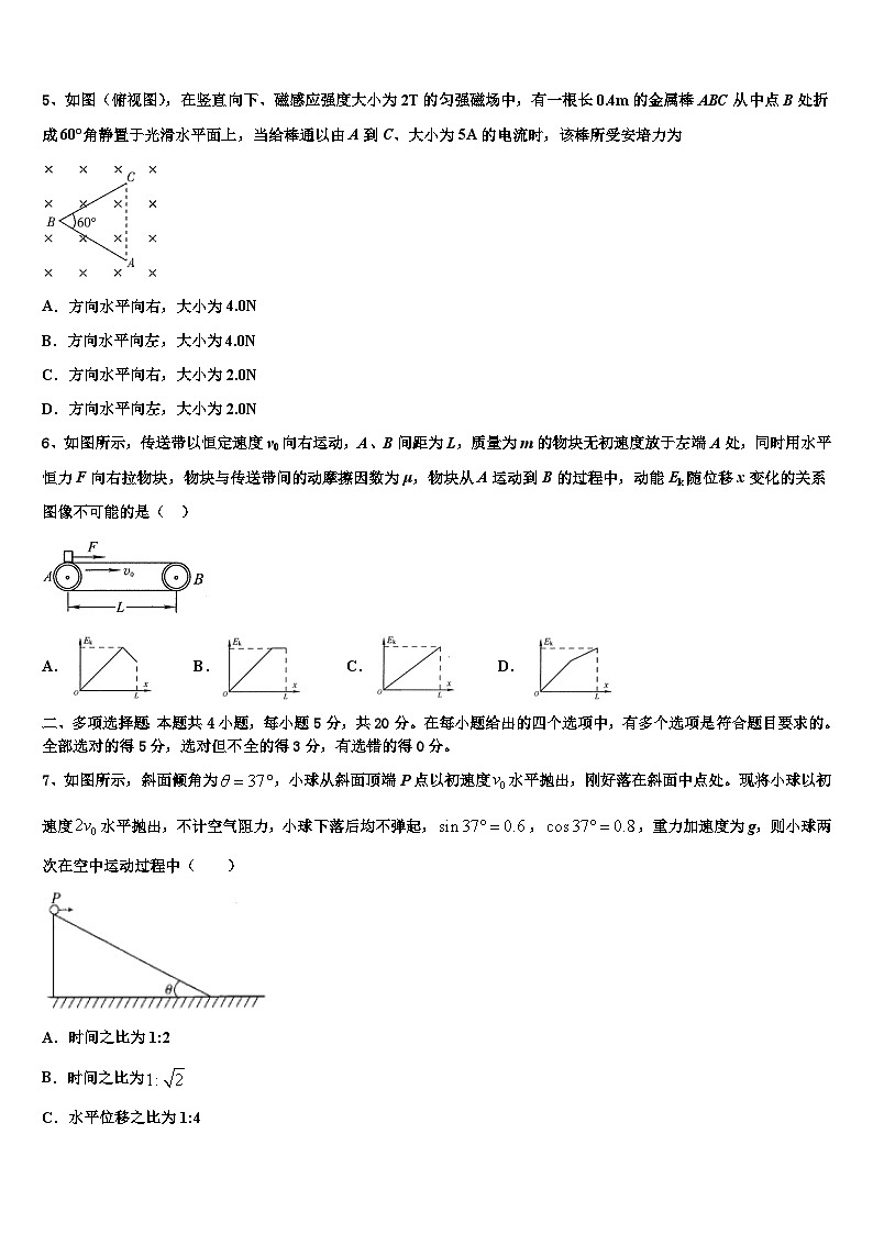 2026届湖北省襄阳市第四中学高考考前提分物理仿真卷含解析第3页