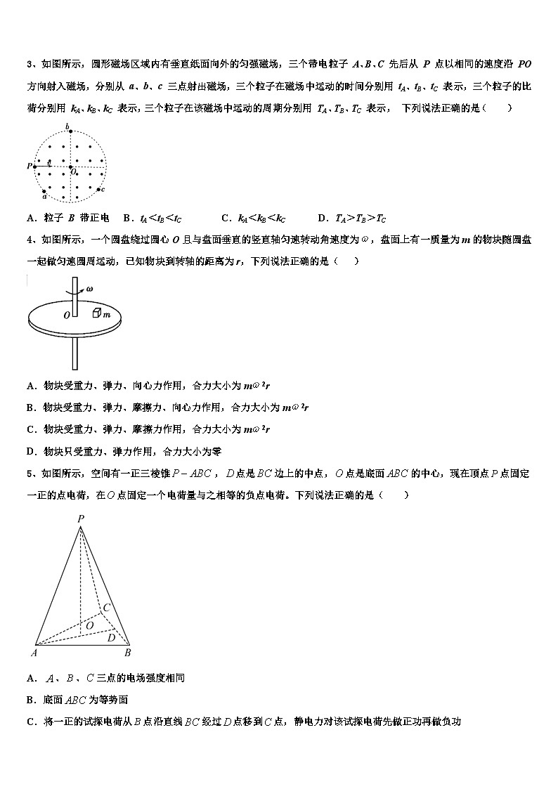 2026届湖北省宜昌市高中教学协作体高考仿真模拟物理试卷含解析第2页