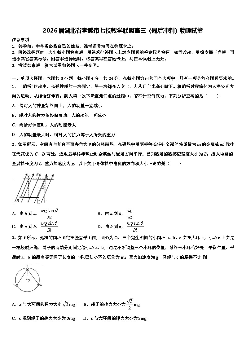 2026届湖北省孝感市七校教学联盟高三（最后冲刺）物理试卷含解析第1页