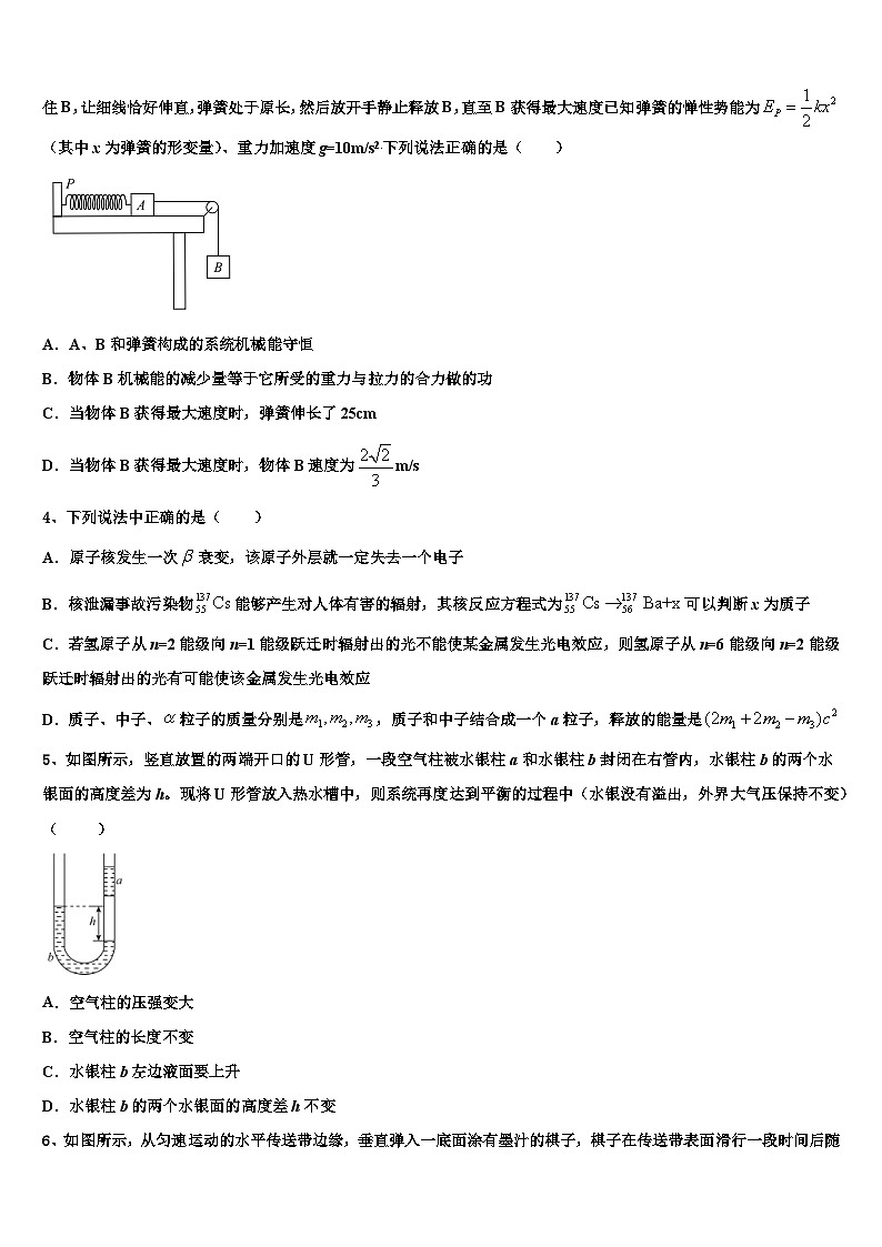 2026届湖北省孝感市八校教学联盟高三（最后冲刺）物理试卷含解析第2页