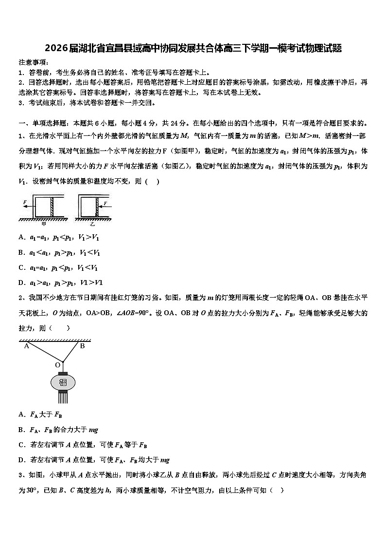 2026届湖北省宜昌县域高中协同发展共合体高三下学期一模考试物理试题含解析第1页