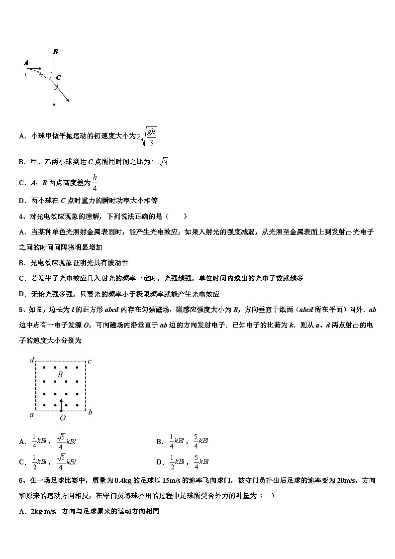 2026届湖北省宜昌县域高中协同发展共合体高三下学期一模考试物理试题含解析第2页