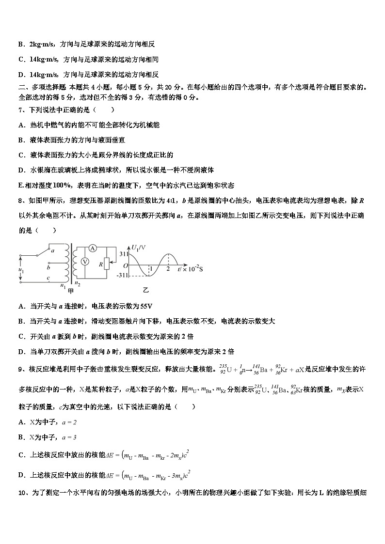 2026届湖北省宜昌县域高中协同发展共合体高三下学期一模考试物理试题含解析第3页