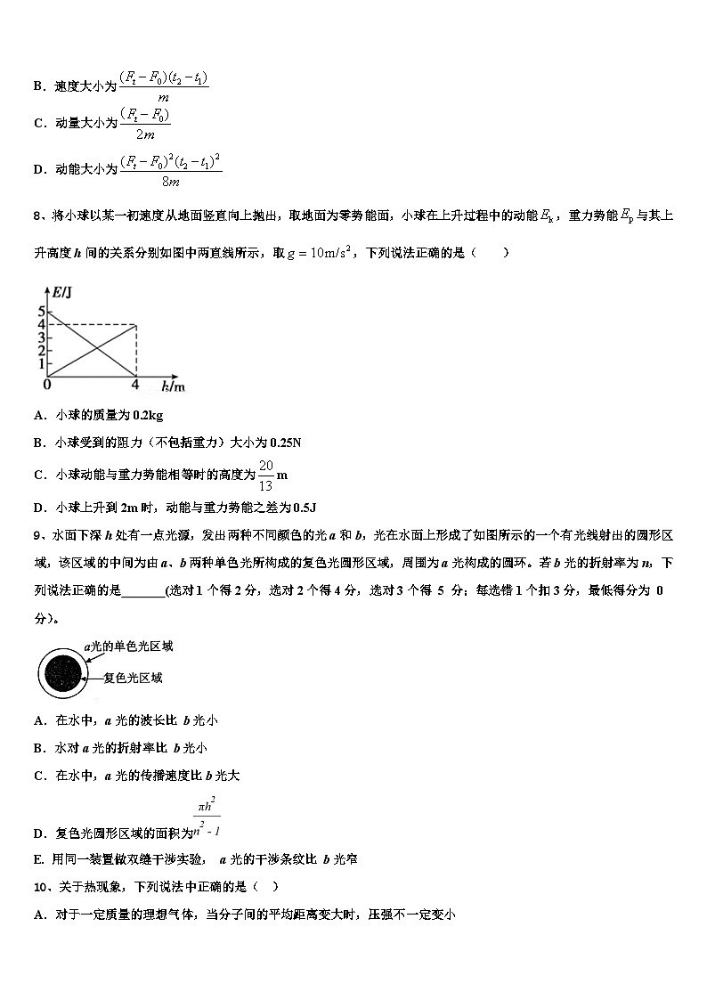 2026届湖北省武汉为明学校高三下学期联合考试物理试题含解析第3页