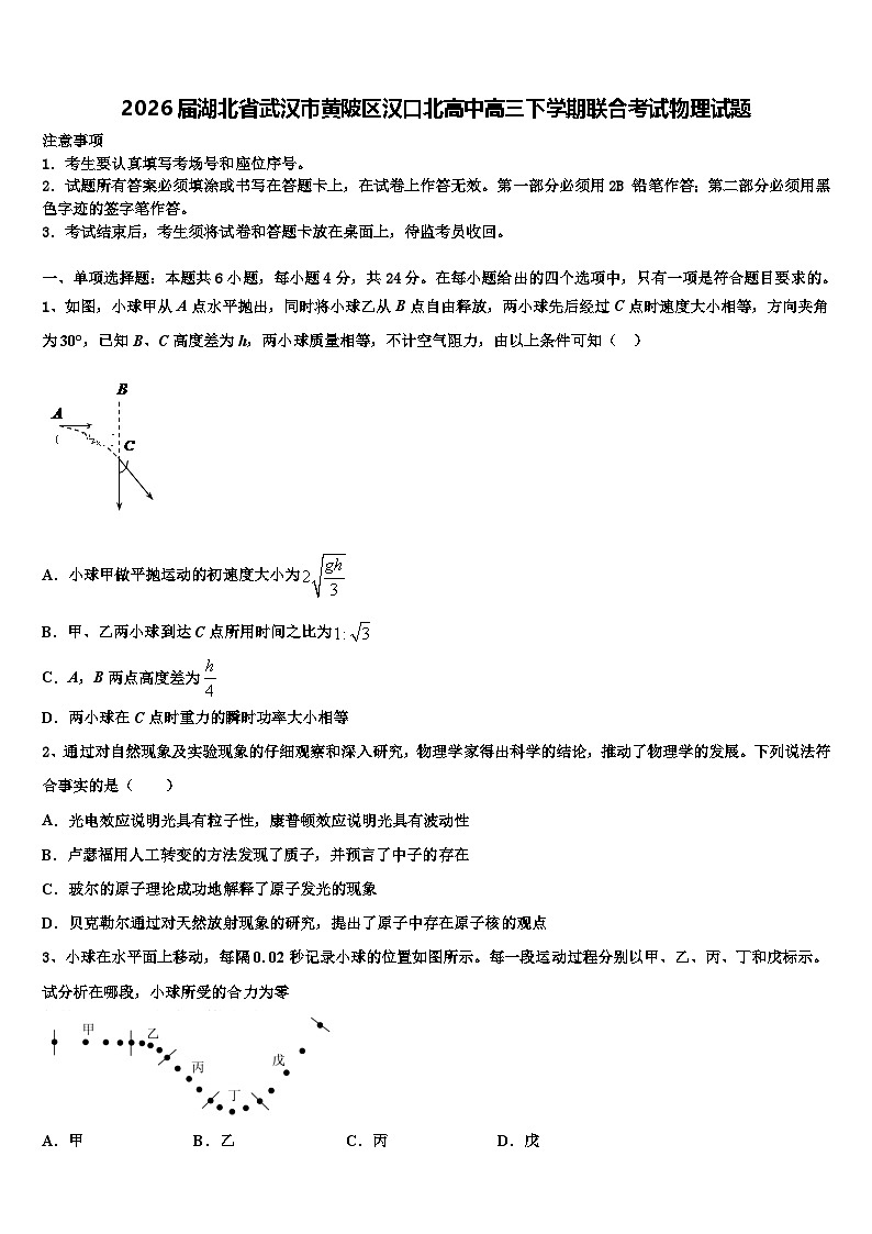 2026届湖北省武汉市黄陂区汉口北高中高三下学期联合考试物理试题含解析第1页
