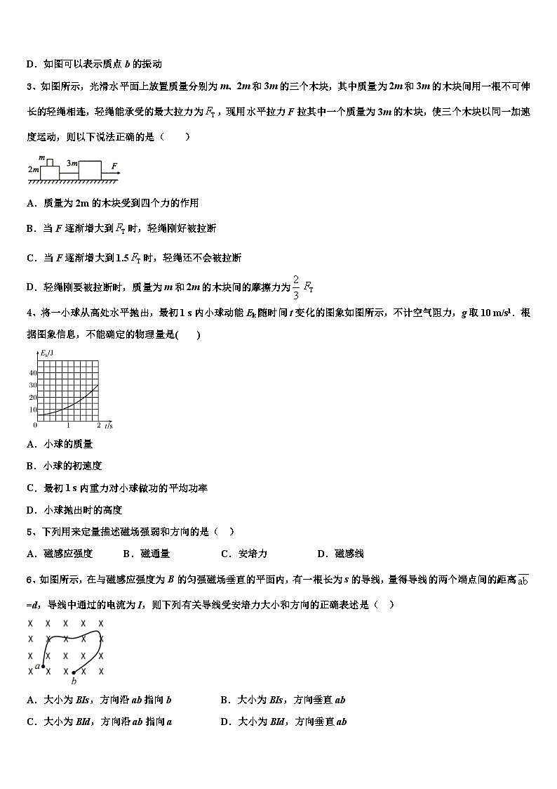 2026届湖北省武汉市华中师范大学第一附属中学高三下学期联考物理试题含解析第2页