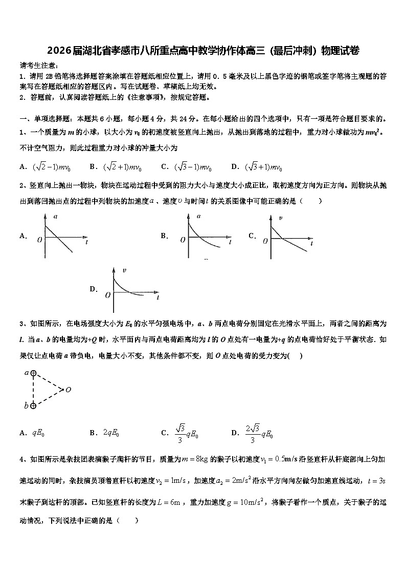 2026届湖北省孝感市八所重点高中教学协作体高三（最后冲刺）物理试卷含解析第1页
