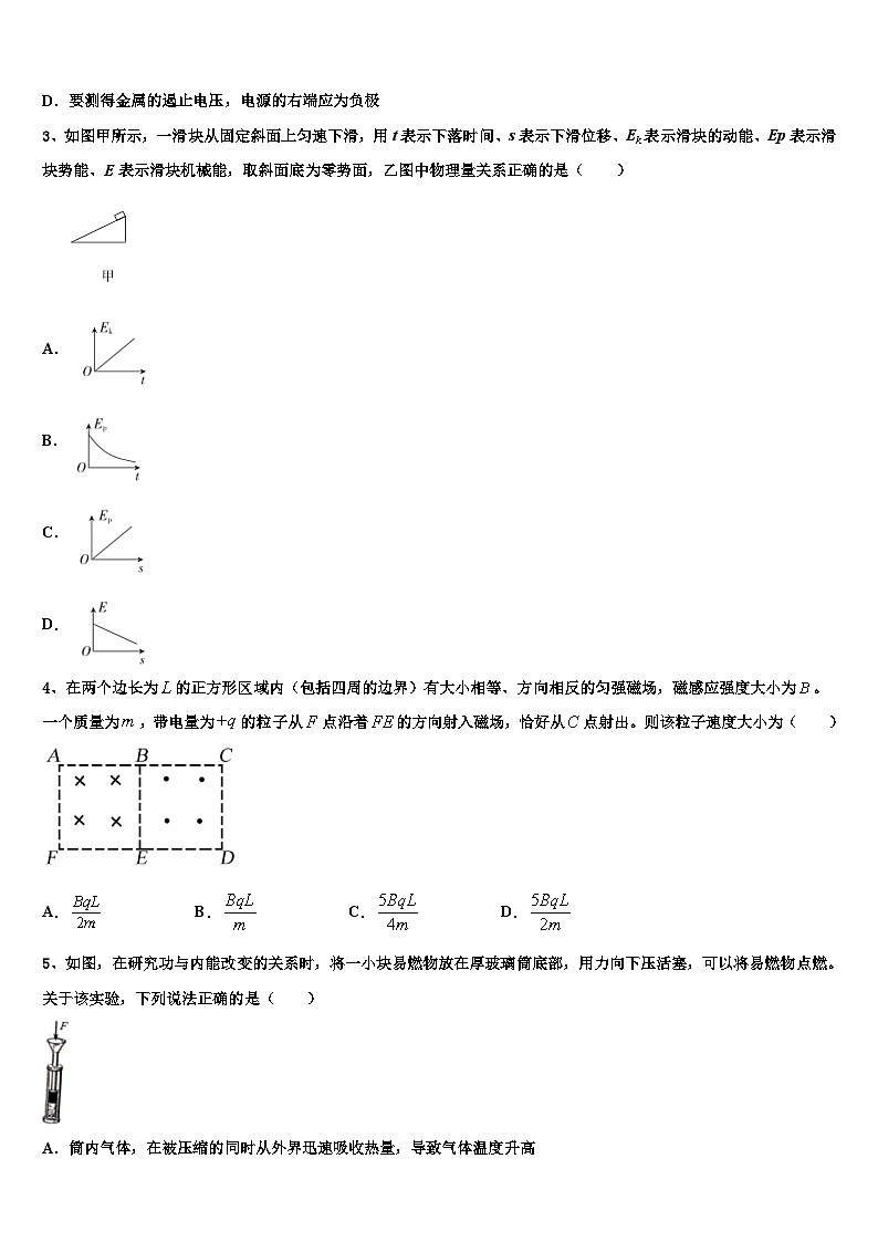 2026届湖北省百所重点中学高三（最后冲刺）物理试卷含解析第2页