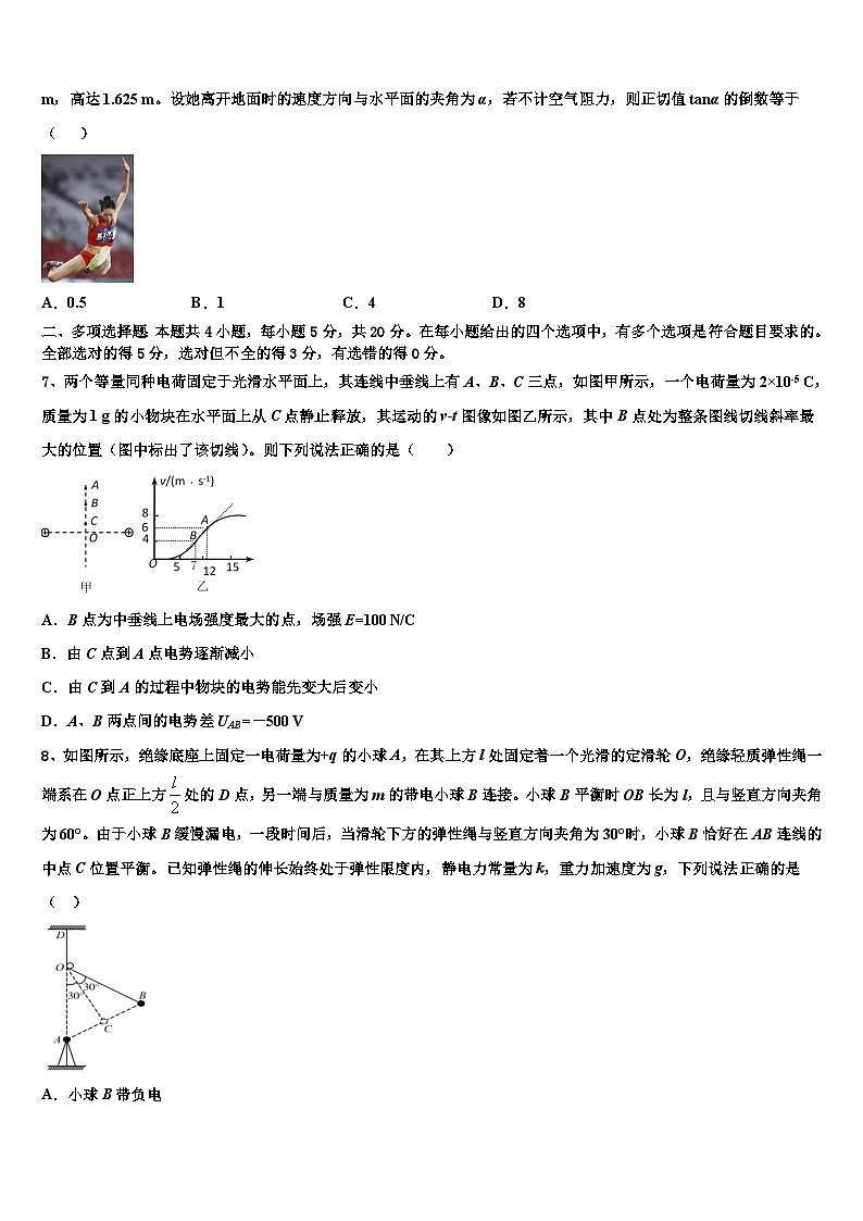 2026届湖南省百所重点高中高考仿真卷物理试题含解析第3页