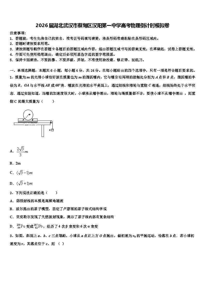 2026届湖北武汉市蔡甸区汉阳第一中学高考物理倒计时模拟卷含解析第1页