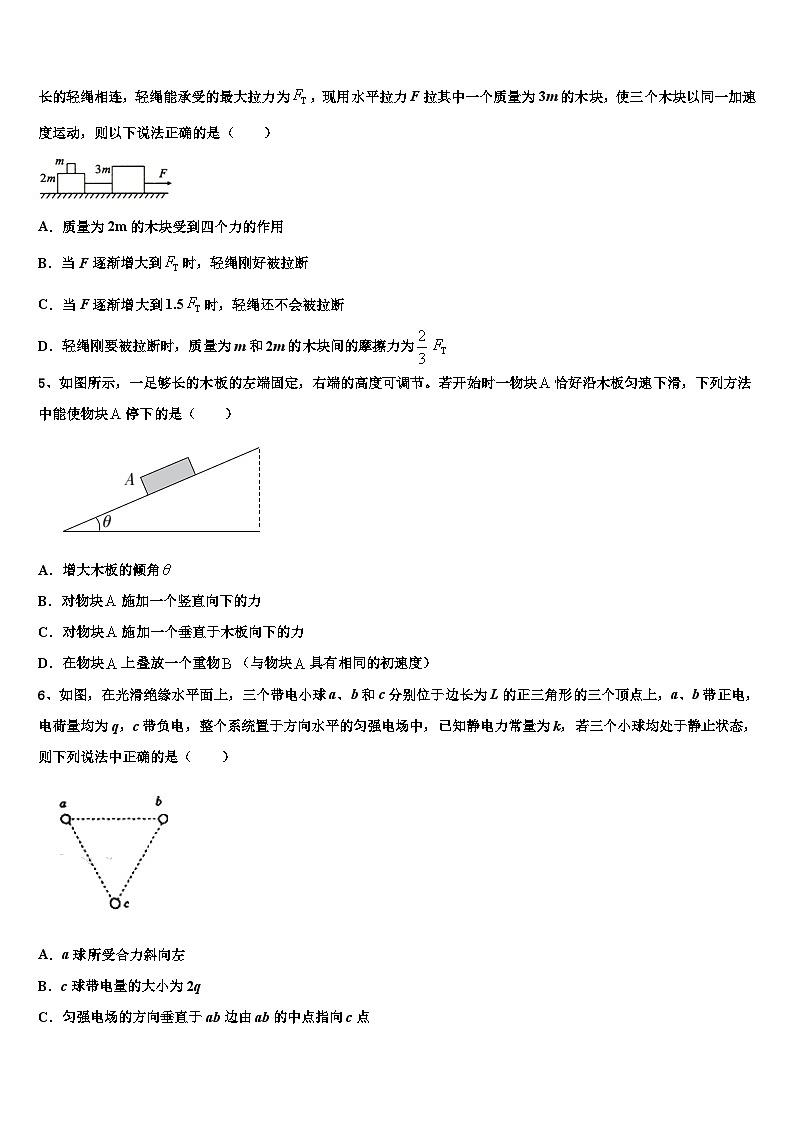 2026届湖南省郴州市高考临考冲刺物理试卷含解析第2页