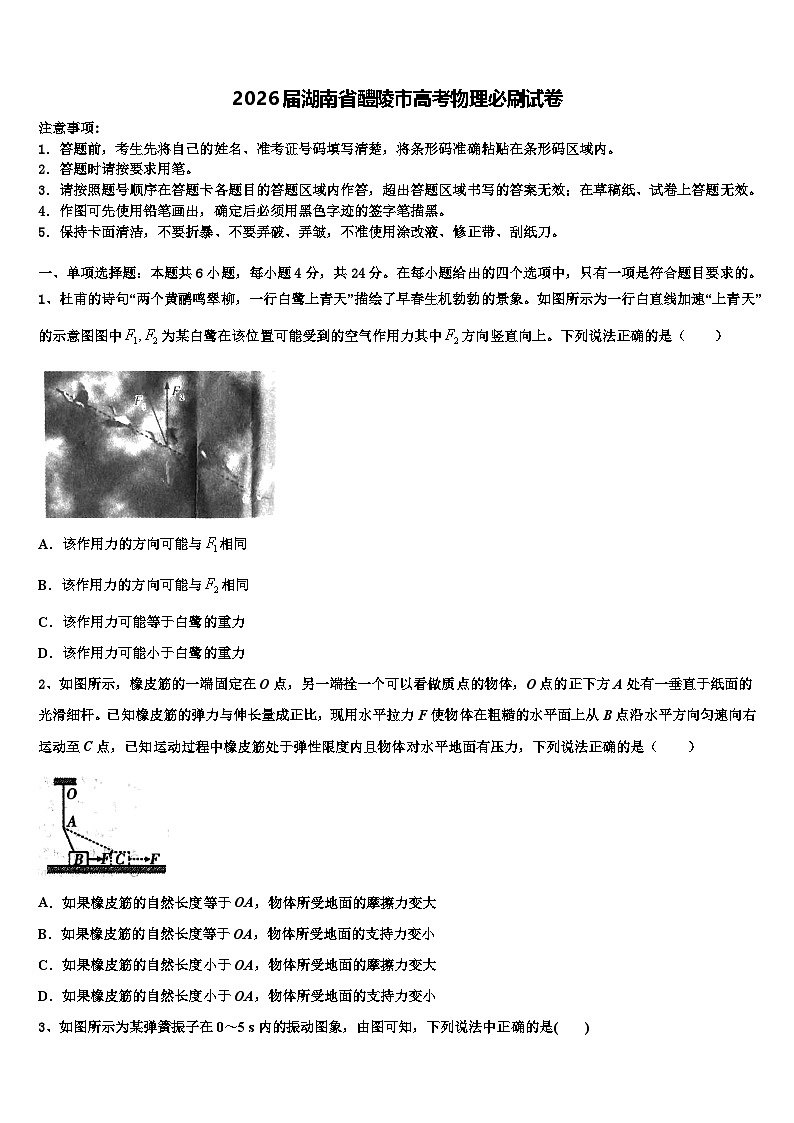 2026届湖南省醴陵市高考物理必刷试卷含解析第1页