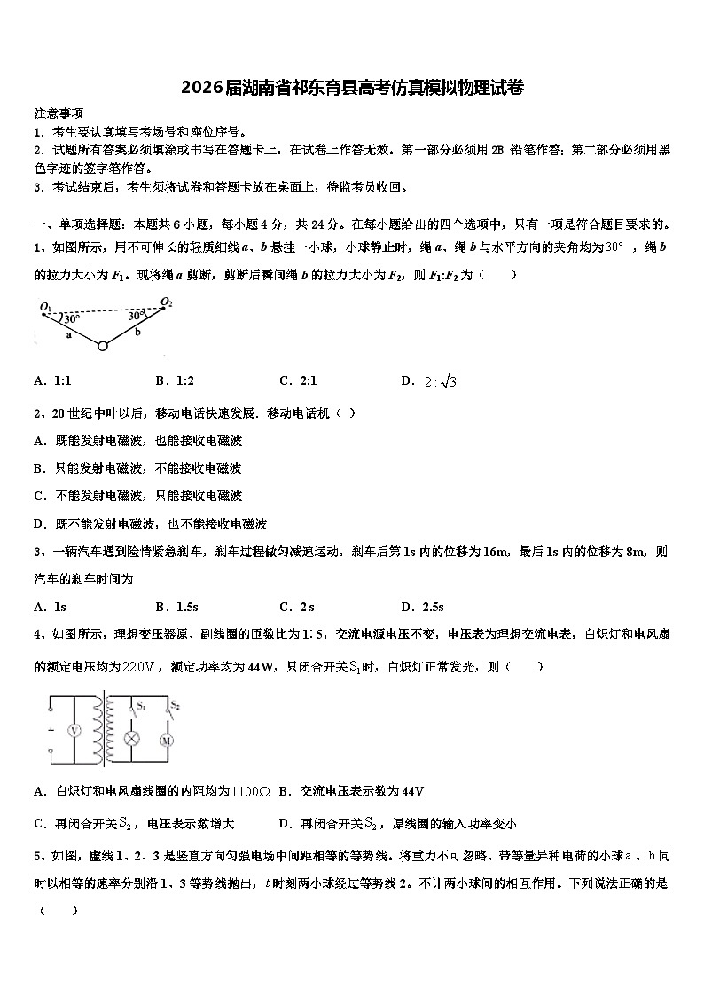 2026届湖南省祁东育县高考仿真模拟物理试卷含解析第1页
