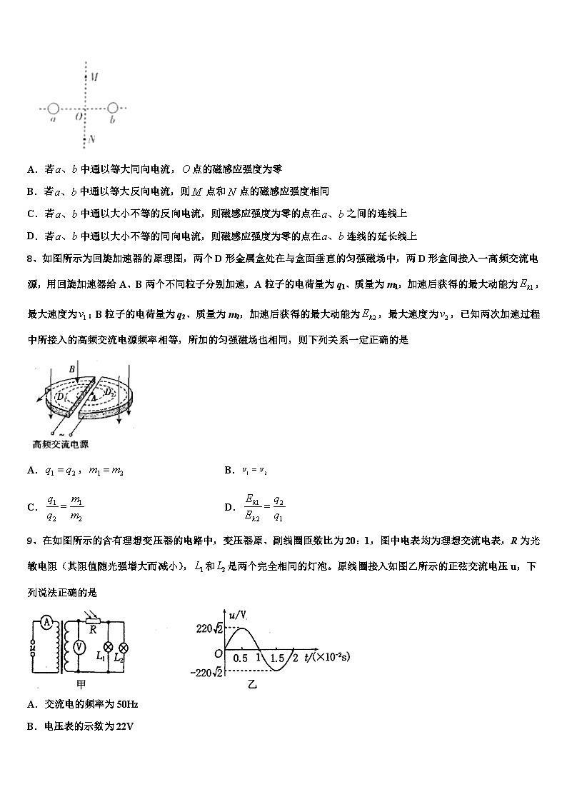 2026届湖南省邵阳市洞口一中、隆回一中、武冈二中高考仿真卷物理试卷含解析第3页