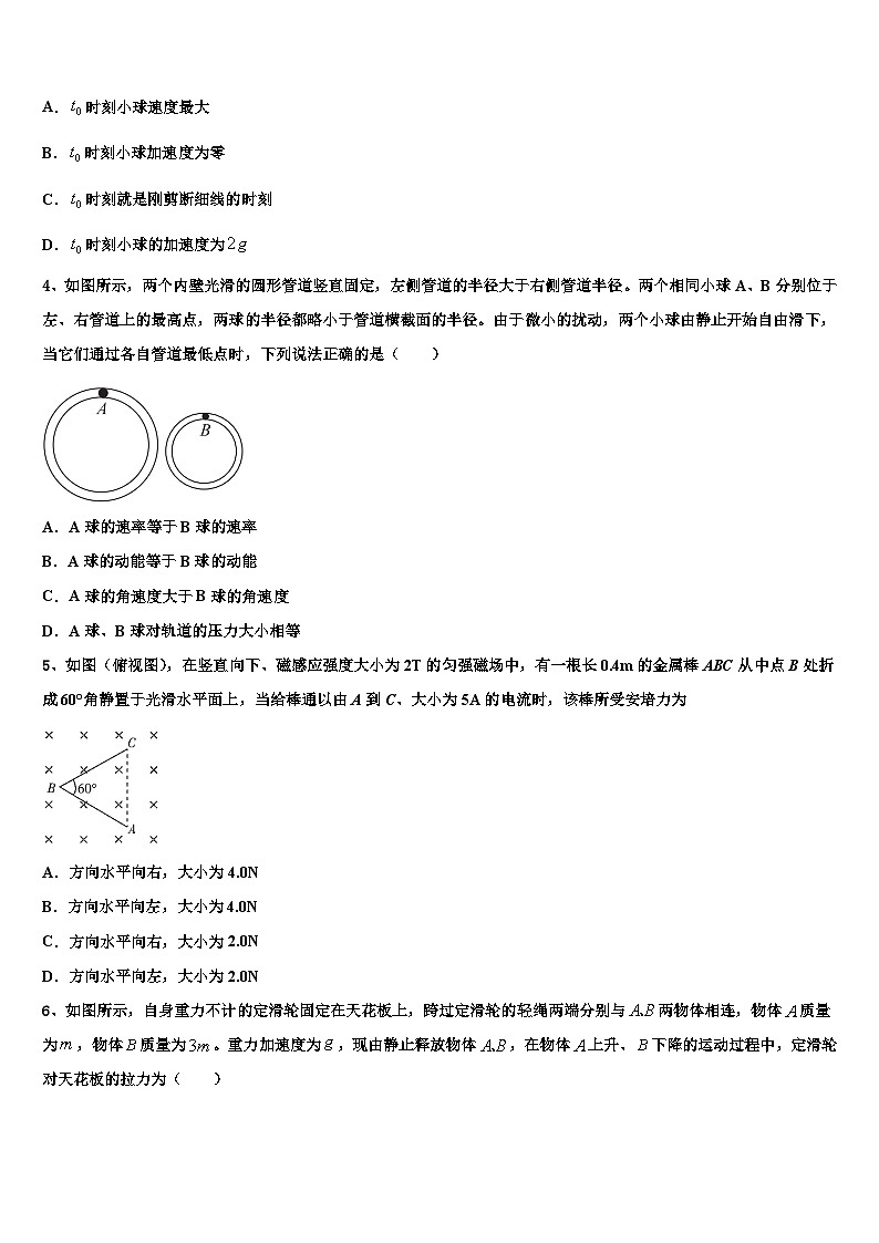 2026届湖南省五市十校教研教改共同体高考仿真卷物理试题含解析第2页
