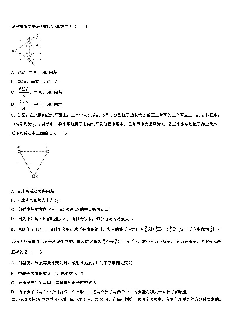 2026届湖南省祁东育县高三3月份模拟考试物理试题含解析第2页