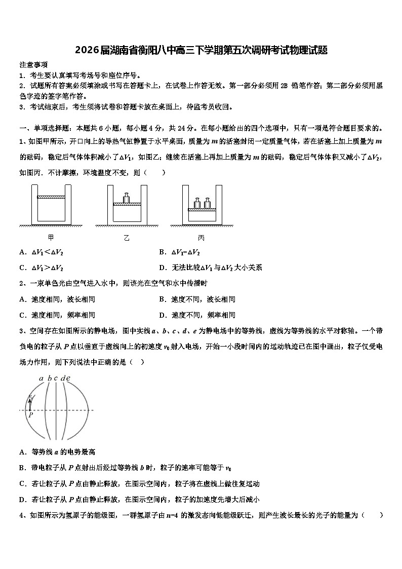 2026届湖南省衡阳八中高三下学期第五次调研考试物理试题含解析第1页