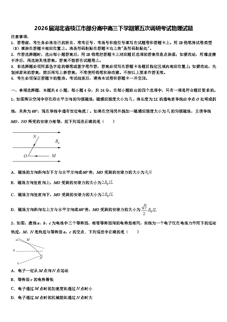 2026届湖北省枝江市部分高中高三下学期第五次调研考试物理试题含解析第1页