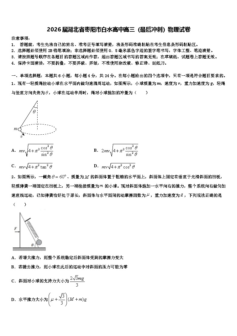 2026届湖北省枣阳市白水高中高三（最后冲刺）物理试卷含解析第1页
