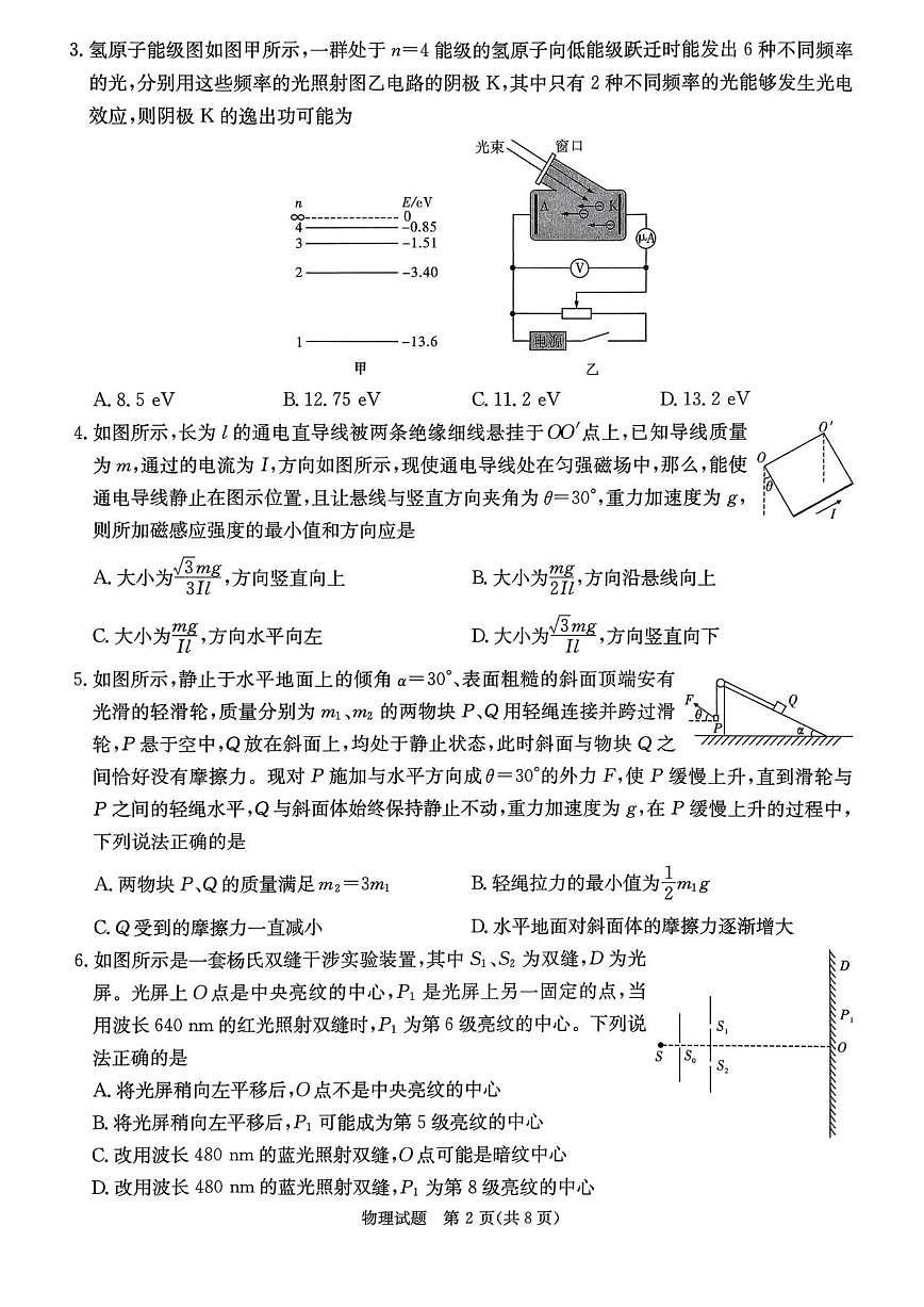 2025-2026学年湖南省名校联考高三上学期1月月考物理试题（有解析）第2页