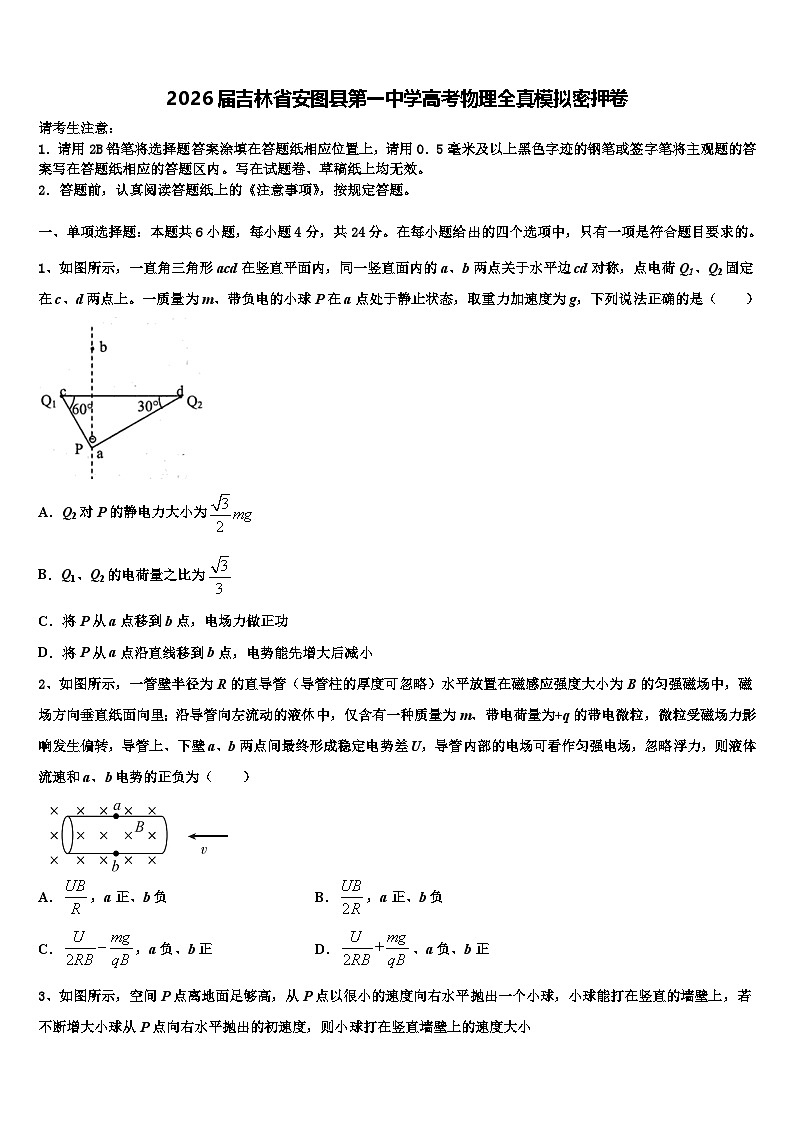 2026届吉林省安图县第一中学高考物理全真模拟密押卷含解析第1页