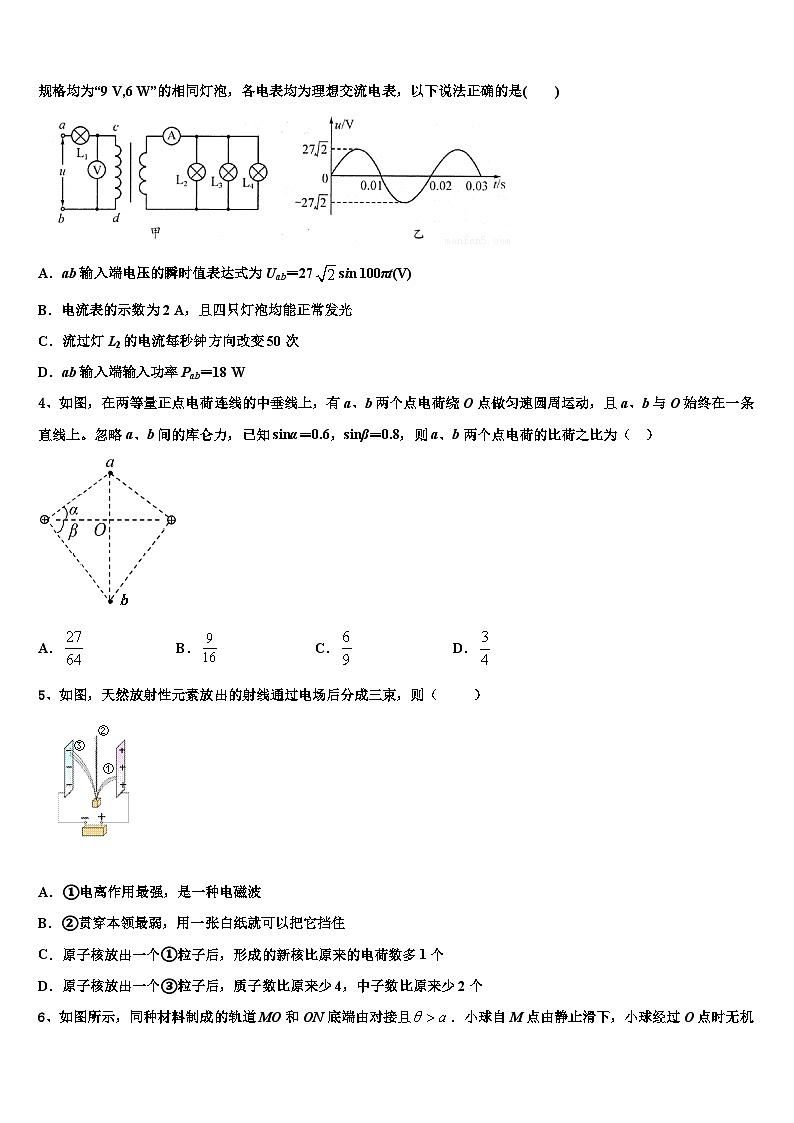 2026届吉林省白城市通榆县一中高考适应性考试物理试卷含解析第2页