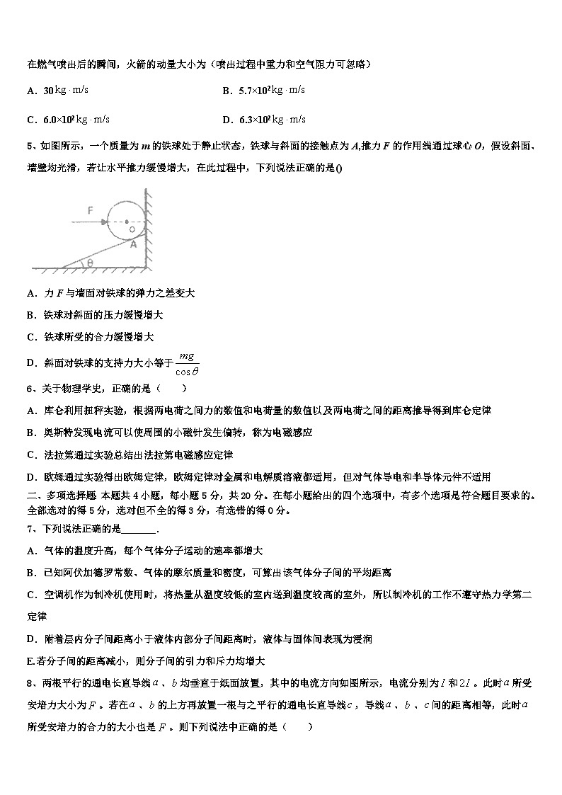 2026届吉林省扶余市一中高考临考冲刺物理试卷含解析第2页