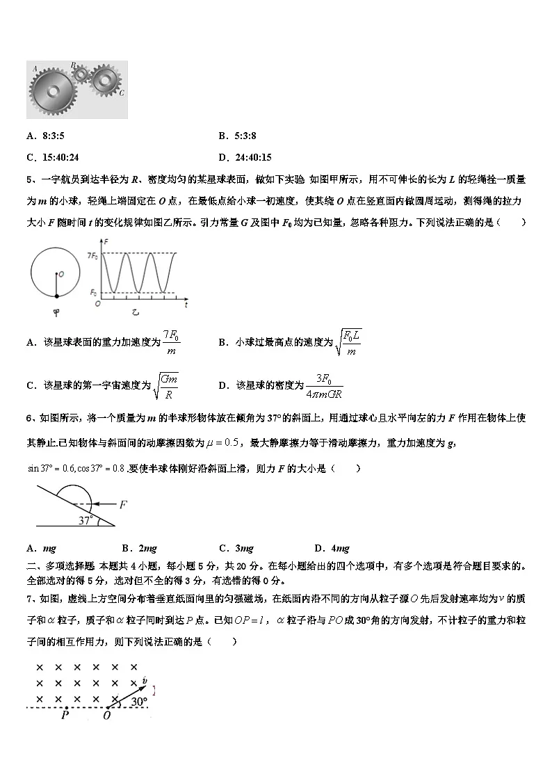 2026届吉林省乾安县第七中学高三（最后冲刺）物理试卷含解析第2页