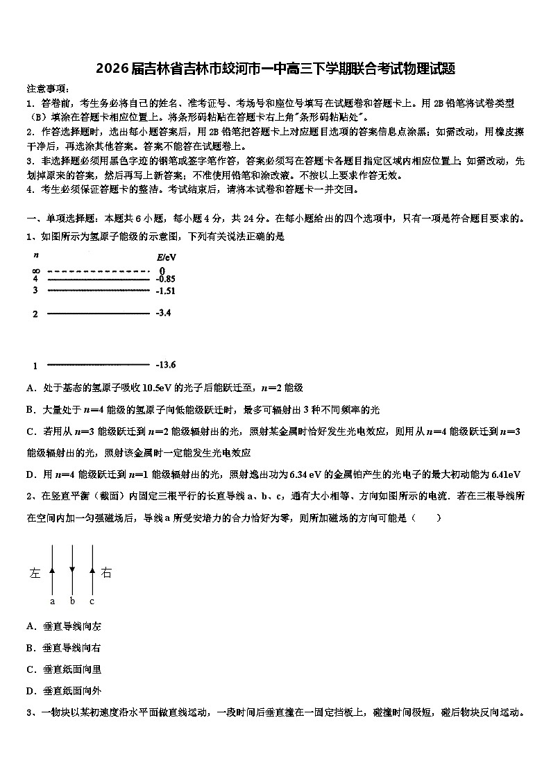 2026届吉林省吉林市蛟河市一中高三下学期联合考试物理试题含解析第1页