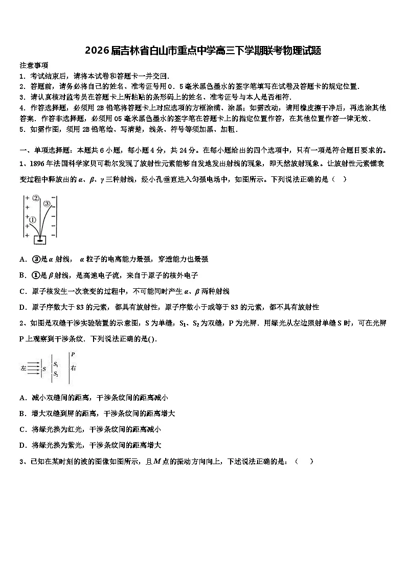 2026届吉林省白山市重点中学高三下学期联考物理试题含解析第1页