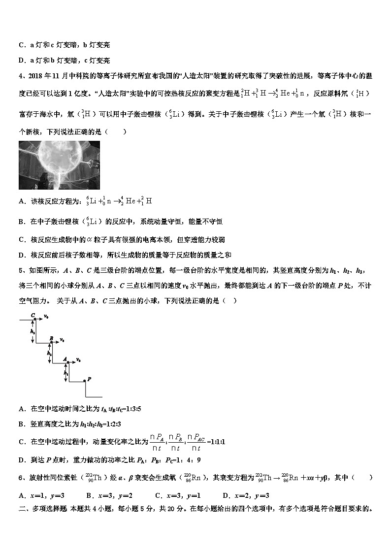 2026届吉林省白城市洮南市第十中学高三（最后冲刺）物理试卷含解析第2页