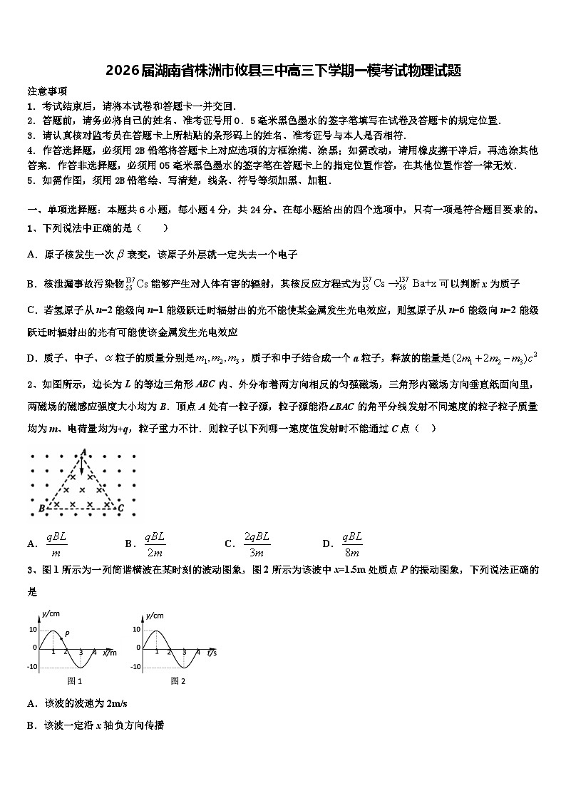 2026届湖南省株洲市攸县三中高三下学期一模考试物理试题含解析第1页
