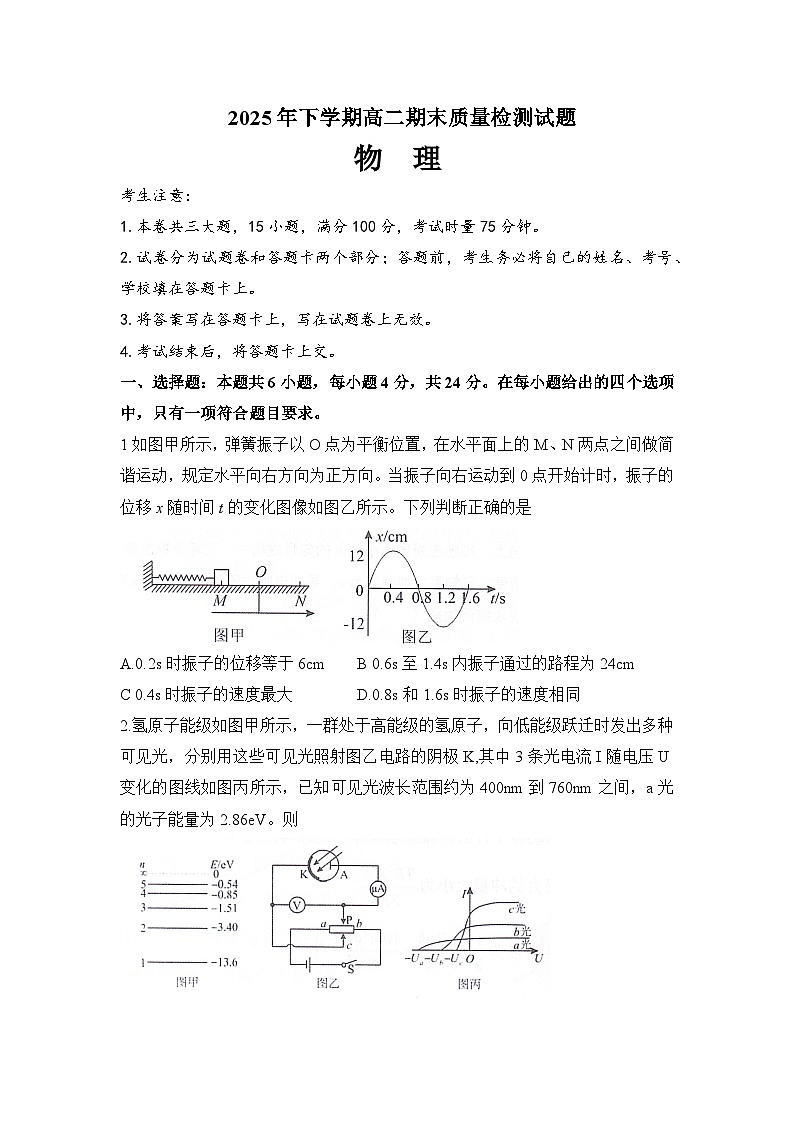 湖南省衡阳市2025-2026学年高二上学期1月期末考试 物理（含答案）第1页