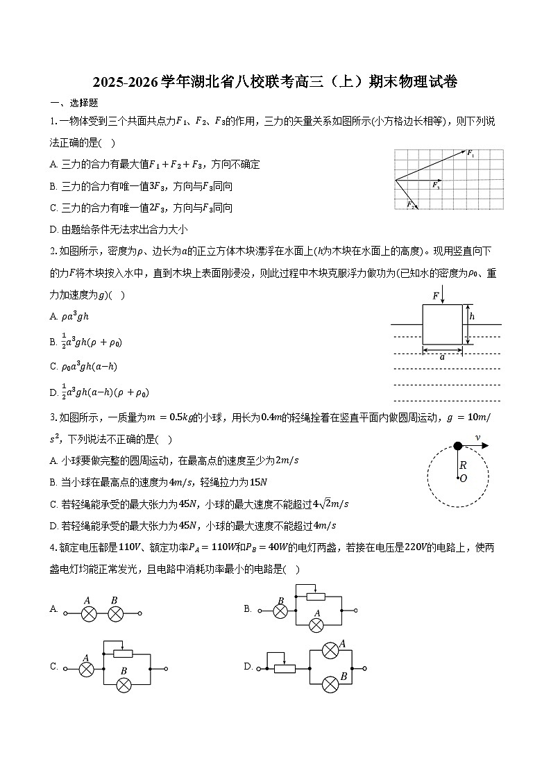 2025-2026学年湖北省八校联考高三（上）期末物理试卷（含解析）第1页