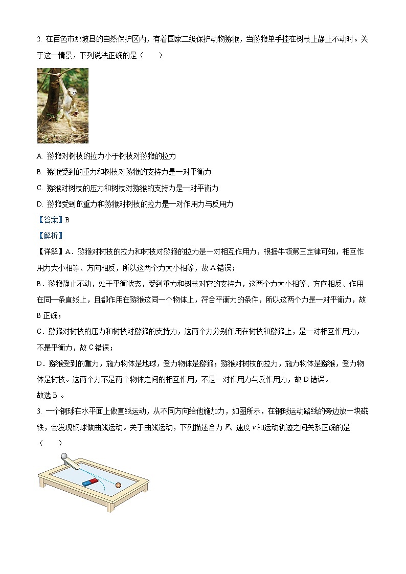 广西壮族自治区百色市2024-2025学年高一上学期1月期末考试 物理 含解析第2页
