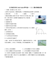 江苏省苏州市2025-2026学年高一（上）期末物理试卷