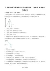 2025-2026学年广东省深大附中-松湖莞中高二上学期第二阶段联考物理试卷（含答案）
