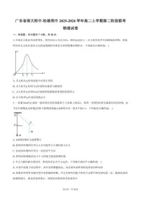 2025-2026学年广东省深大附中-松湖莞中高二上学期第二阶段联考物理试卷(含答案)