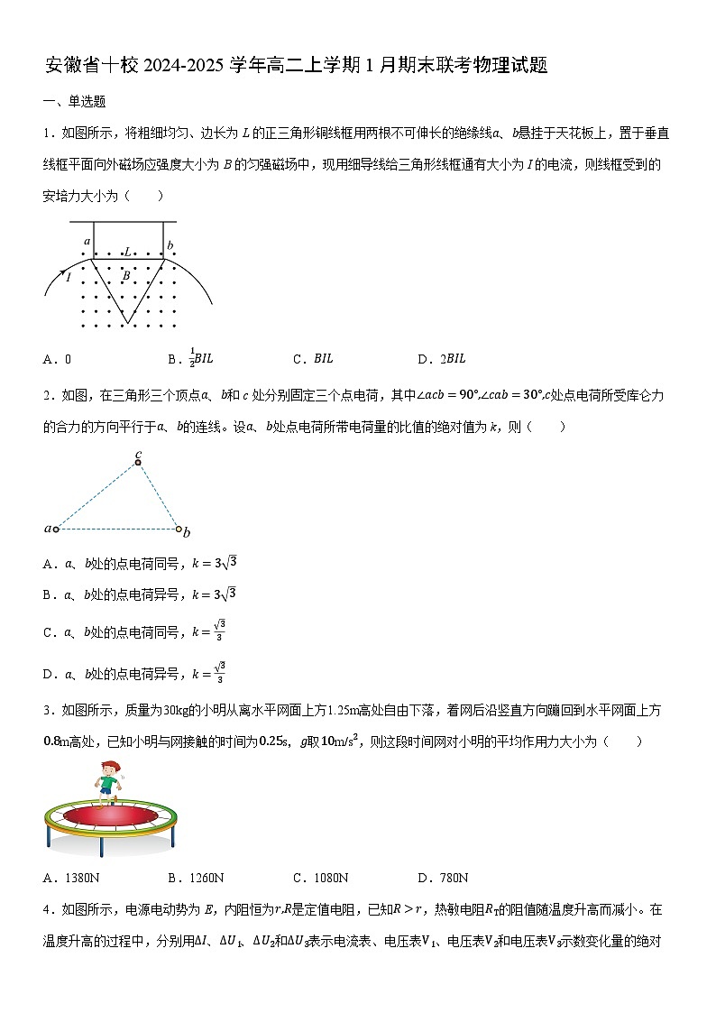 2024-2025学年安徽省十校高二上学期1月期末联考物理试卷（学生版）第1页