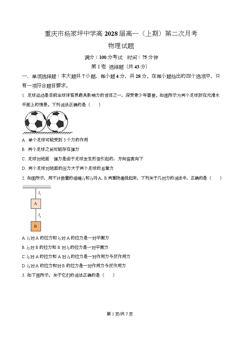 重庆市杨家坪中学2025-2026学年高一上学期第二次月考物理试题  Word版无答案第1页