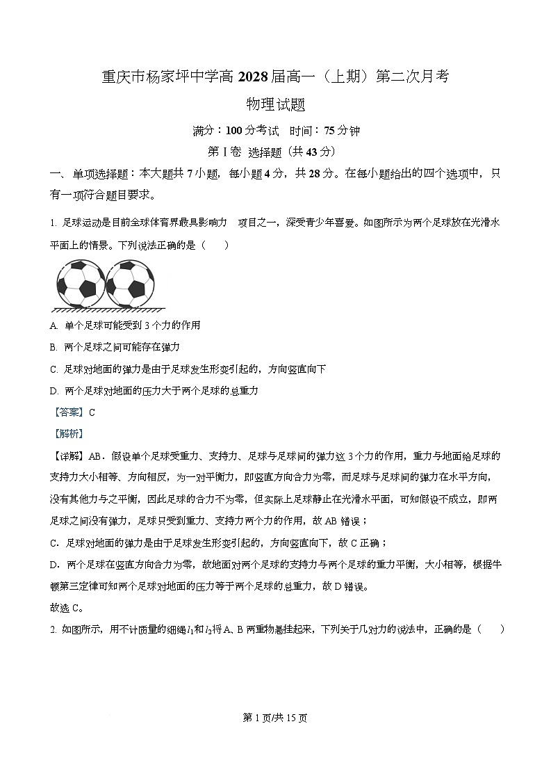 重庆市杨家坪中学2025-2026学年高一上学期第二次月考物理试题  Word版含解析第1页