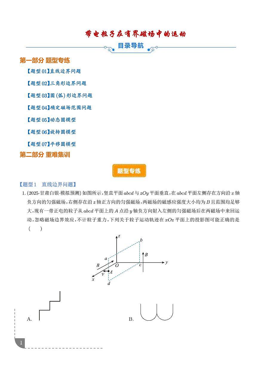 专题 带电粒子在有界磁场中的运动（解析版）第1页