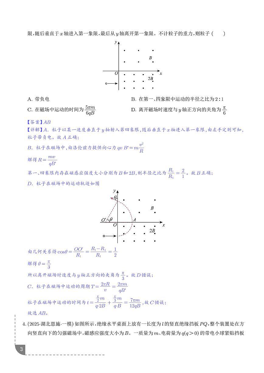 专题 带电粒子在有界磁场中的运动（解析版）第3页