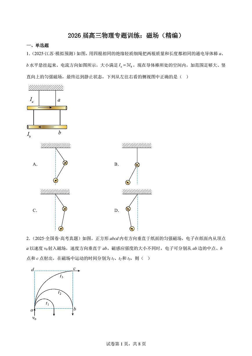 2026届高考物理一轮专题训练：磁场练习含答案第1页