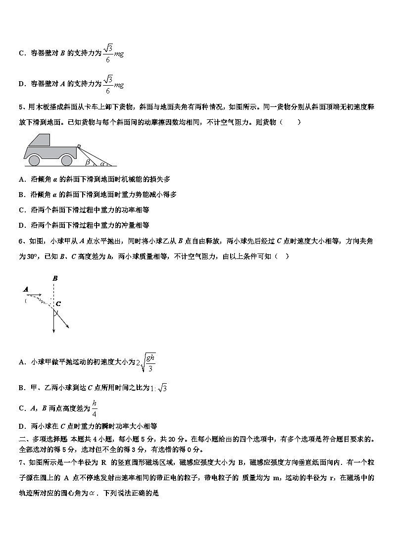 2026届吉林市重点中学高考冲刺模拟物理试题含解析第2页
