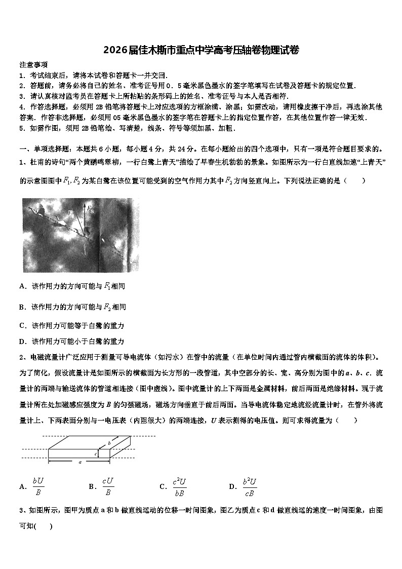 2026届佳木斯市重点中学高考压轴卷物理试卷含解析第1页